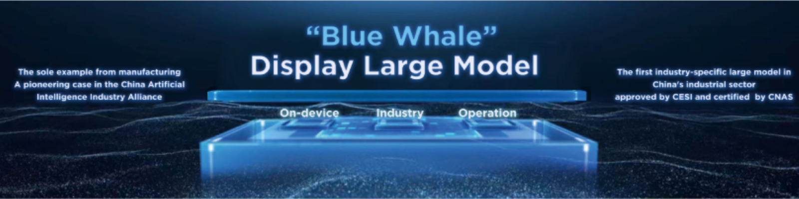 BOE's Blue Whale Model